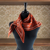 Paisley Bandana Print Sweater-knit Triangle Scarf